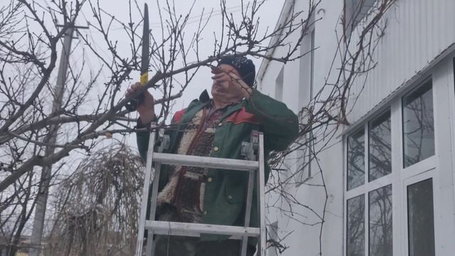 Обрезка персика