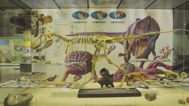 Квест в Дарвиновском музее для детей и взрослых
