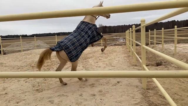 Приглашение Виктории Шаньшиной (КСТП Карамат) для конкурса "Мастера Гостеприимства"