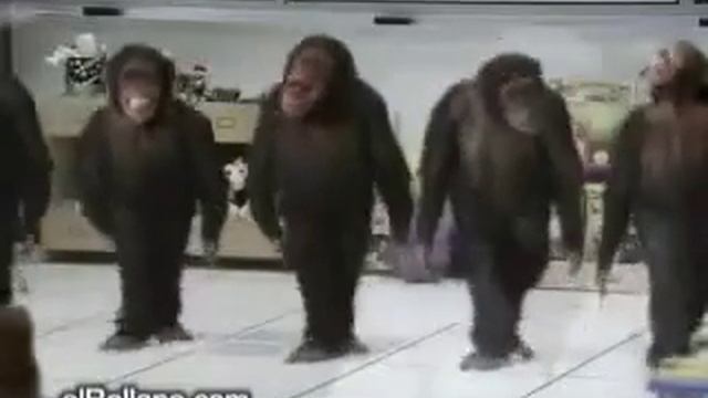 Шынар ау