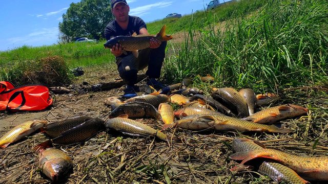 РЫБАЛКА НЕ ДЛЯ СЛАБОНЕРВНЫХ!НЕ УСПЕВАЮ ЗАКИНУТЬ ДОНКИ! БЕШЕНЫЙ КЛЕВ КАКОЙ-ТО! САЗАН НА КОРМУШКИ!