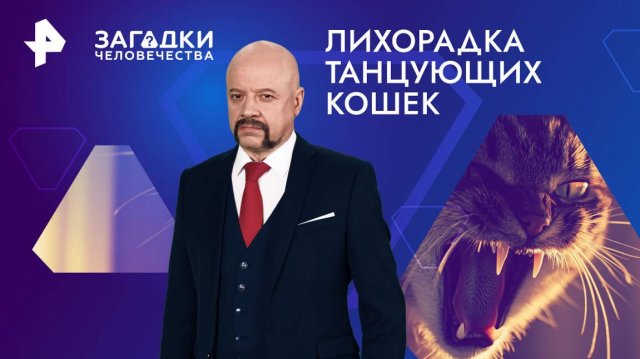 Лихорадка танцующих кошек — Загадки человечества с Олегом Шишкиным (21.10.2024)