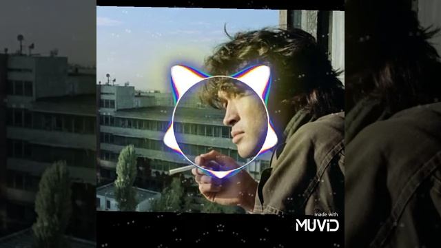 Виктор Цой-восьмиклассница