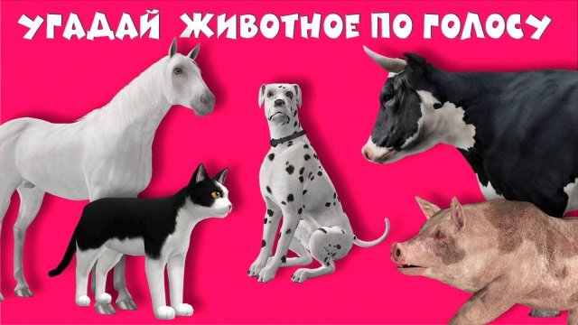 Развивающие мультики ⚡ Угадай животное по голосу ❎ Мультики для детей смотреть онлайн