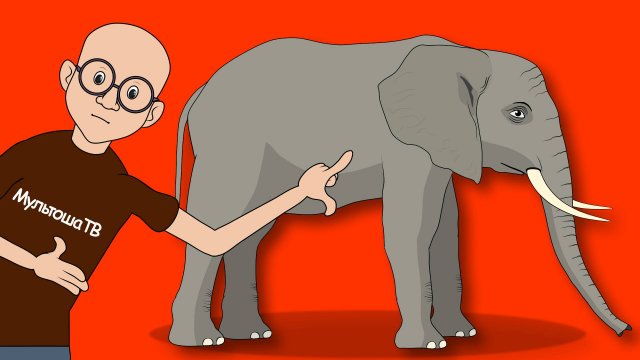 Интересные факты о слонах. Мультфильм