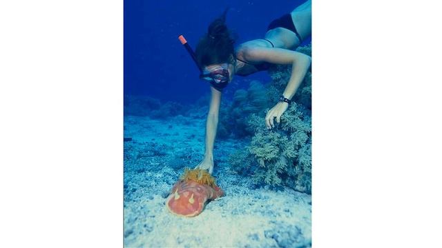 Презентация для детей по Доману. Что делает 5?