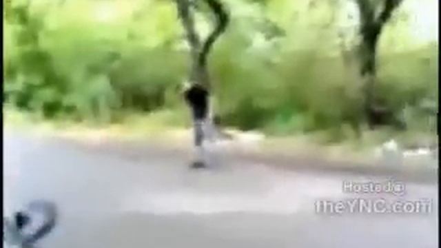 3 guys 1 hammer documentary