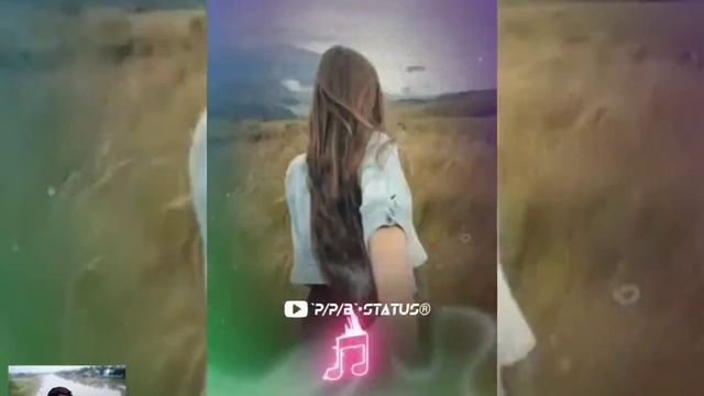 `P/P/B`•STATUS®👍❤️❤️