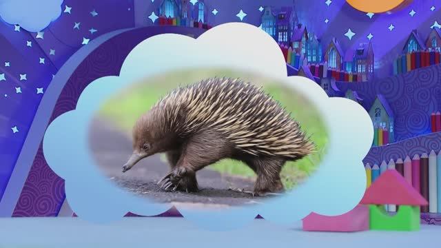 ✨Спокойной ночи, малыши✨ №36/2024 Защита