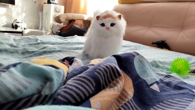 Джерика кусок