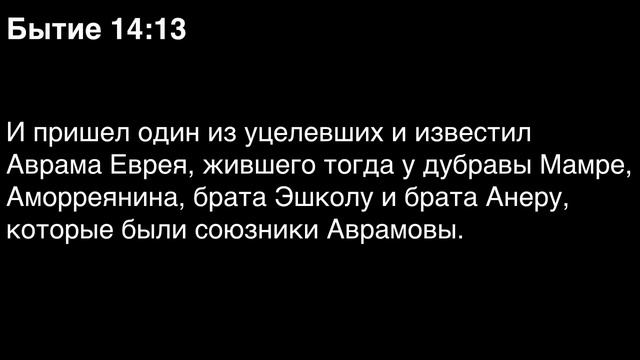 День 4. Библия за год. С митрополитом Иларионом.