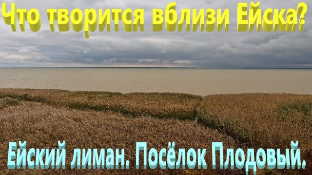 Что творится вблизи Ейска? Ейский лиман. Посёлок Плодовый.