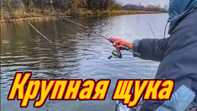 КРУПНАЯ ЩУКА НА УЛЬТРАЛАЙТ СПИННИНГ/ РЫБАЛКА НА ВОЛГЕ/ЛОВЛЯ ХИЩНИКА НА СПИННИНГ/ОСЕННЯЯ РЫБАЛКА/2024