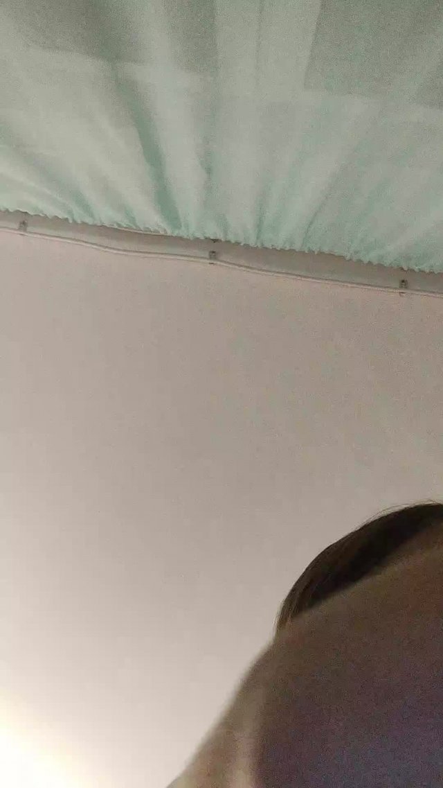 бабочка