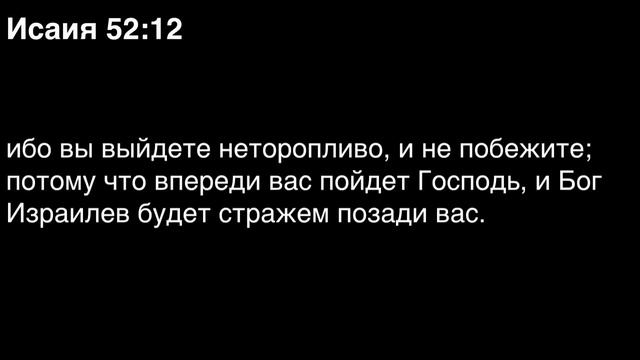 День 200. Библия за год. С митрополитом Иларионом