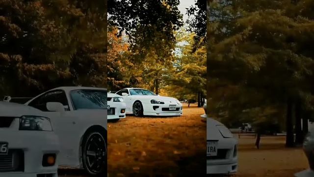 car 🤍