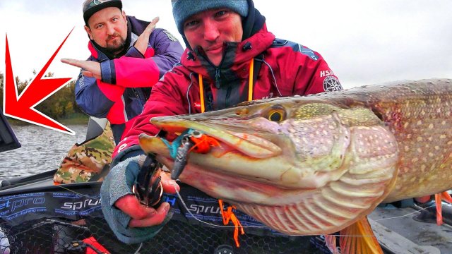 ЗАПРЕЩЁННАЯ ЛОВЛЯ А ПРИГЛЯДКУ В ПАНОПТИКС! СКУЧНО ИЛИ ВЕСЕЛО НЕПОНЯТНО Ч2