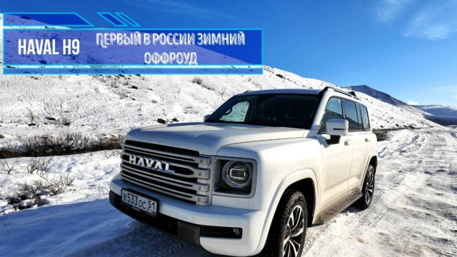 HAVAL H9