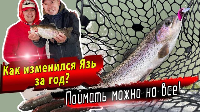 Рыболовный клуб Язь | Осенняя ловля форели на приманки Jara Baits