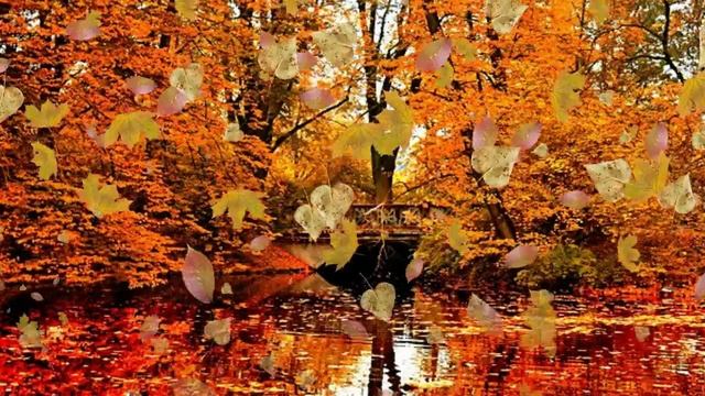 Музыкальный-клип-Необычный Сон. Рома Жуков-Первый снег