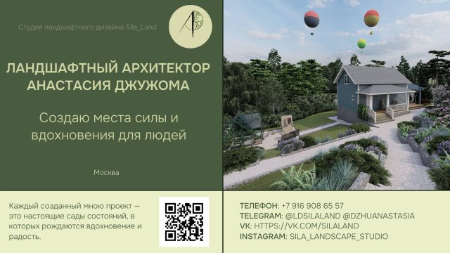 Услуги