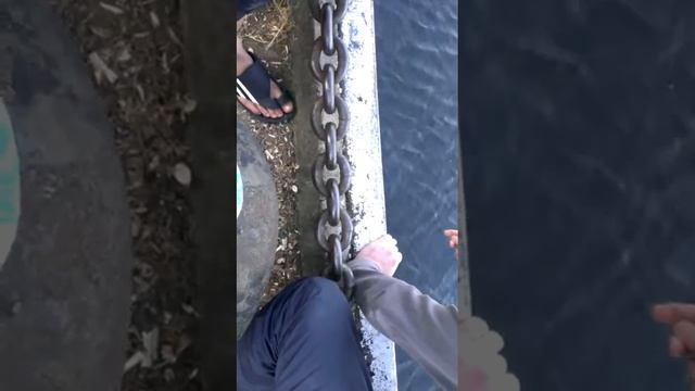 большая рыба канал имени москвы