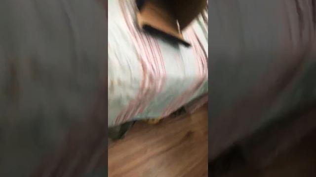 Очки виртуальной реальности/18+