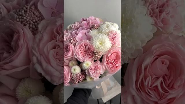 2185907715886741241