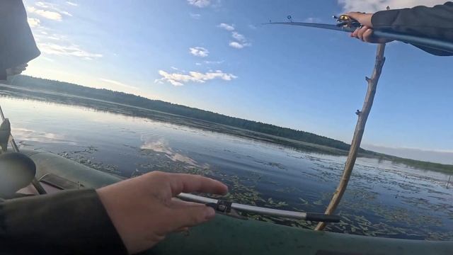 Рыбалка в Кировской области на пруду. Рыбалка на карася