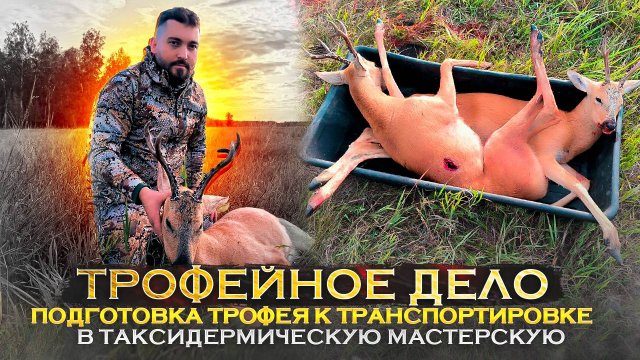 Правильная подготовка трофея к транспортировке