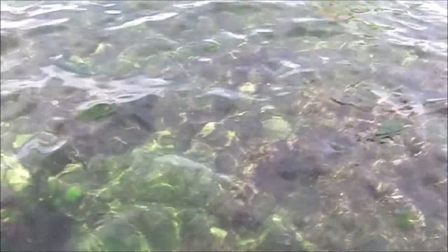 Гуляем вместе с вами по Севастополю