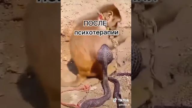 Психотерапия