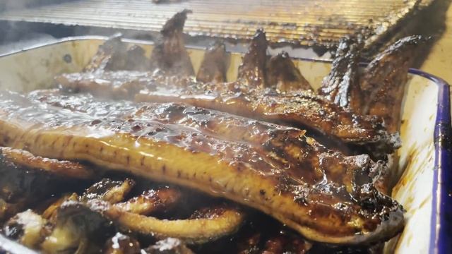 【Japanese Street Food EEL】Day in the Life of a Grilled Eel Masters. 創業160年!! うなぎ専門店「若松屋」ウナギの捌き方
