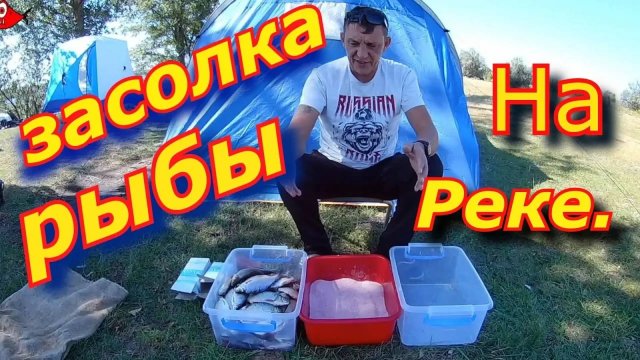 Засолка рыбы на рыбалке.. Как сохранить свой улов на рыбалке. таранка