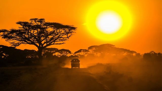 African Safari Music | 1 Hour