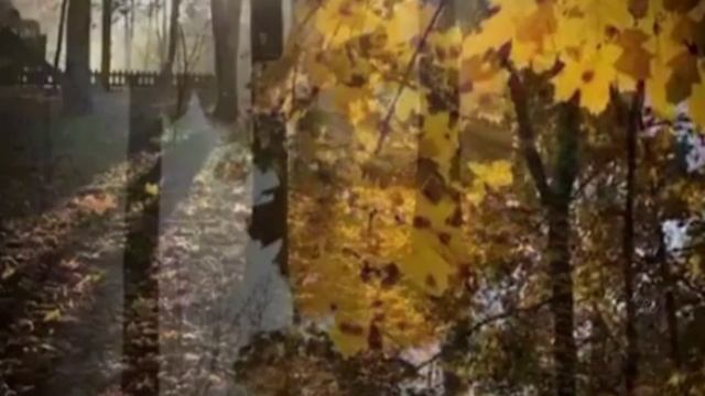 Открытка пожелание доброго дня и хорошего настроения #настроение #добрыйдень #день #открытки #дня