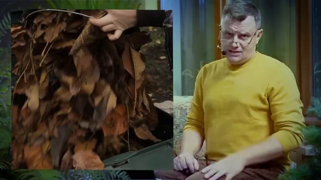 Больше урожая от правильных удобрений! Видеошкола для садоводов