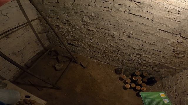 В подвале завелась мышь или крыс, что делать?