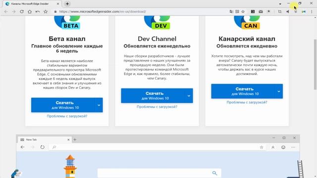 Как установить расширения из магазина Chrome в браузер Microsoft Edge