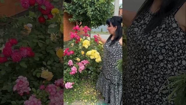 СЕГОДНЯ ПОКАЖУ СВОЙ ДВОР. ДВОР АРУСИ КАВКАЗ. КРАСИВЫЕ РАСТЕНИЯ МИРА.
