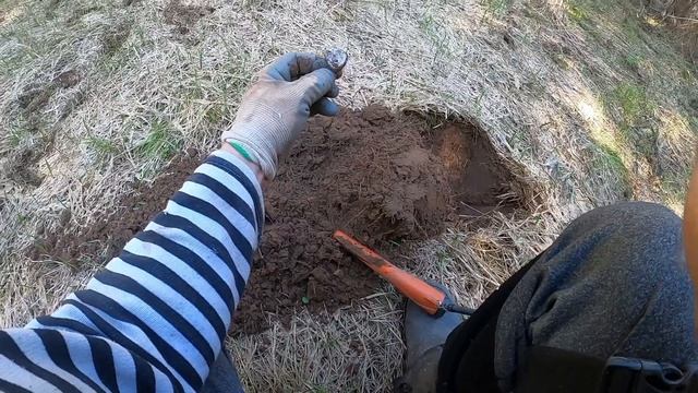 экспидиционное дело с димычем
