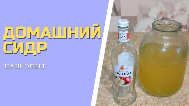 ДОМАШНИЙ СИДР из яблок простой рецепт