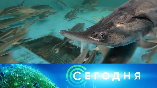 «Сегодня»: 28 октября 2024 года. 10:00 | Выпуск новостей | Новости НТВ