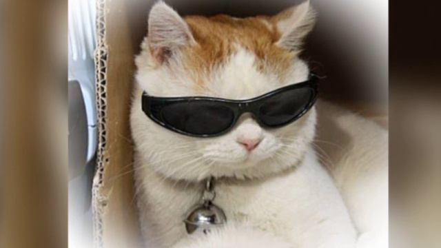 ⭐️Плейлист, но ты hot человек🎧