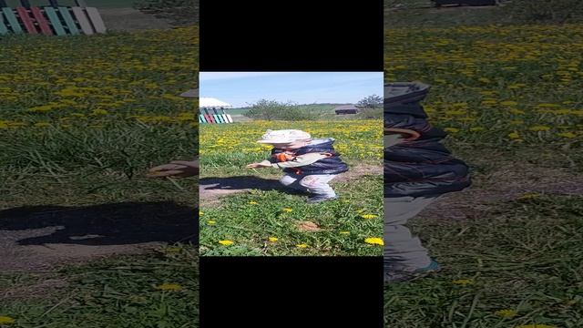 19.05.2017