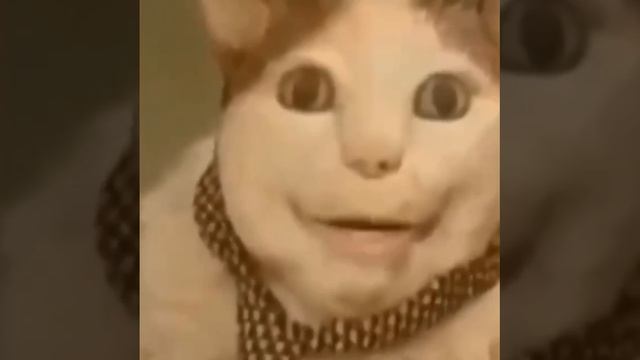 Криповый кот