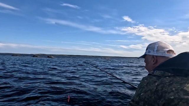 Рыбалка и подводная охота. Белое море 2024 .