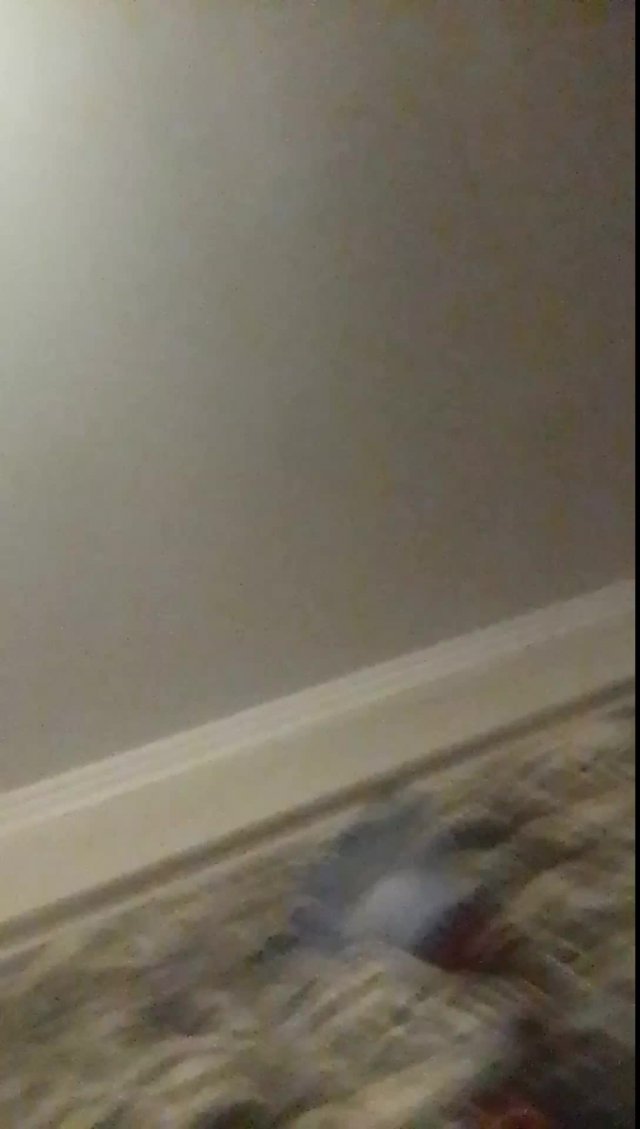 слааайм и ответы на вопросы