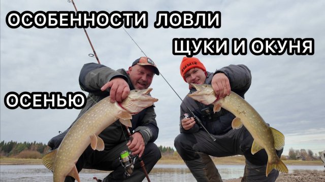 ОСОБЕННОСТИ ЛОВЛИ ЩУКИ И ОКУНЯ ОСЕНЬЮ!!!