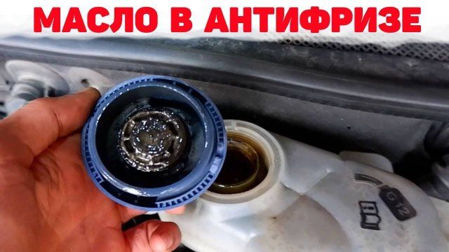 Масло в антифризе. Причины . Audi A6C5 2.5 TDI V6.